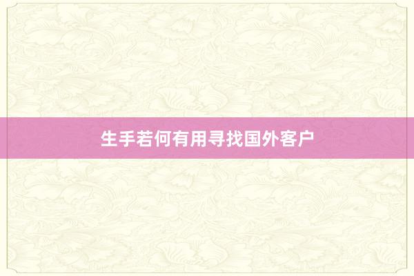 生手若何有用寻找国外客户