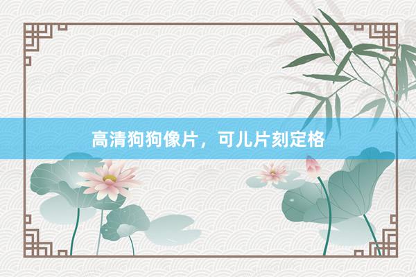 高清狗狗像片，可儿片刻定格
