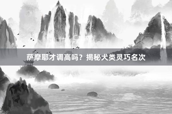 萨摩耶才调高吗？揭秘犬类灵巧名次
