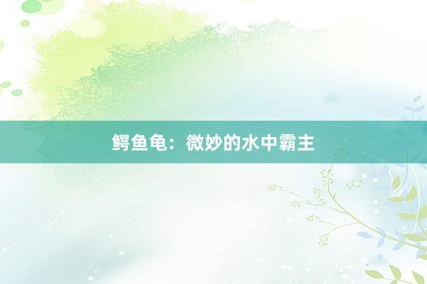 鳄鱼龟：微妙的水中霸主