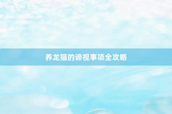 养龙猫的谛视事项全攻略