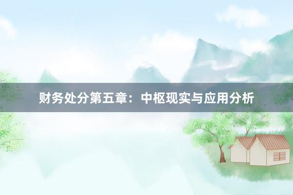 财务处分第五章：中枢现实与应用分析
