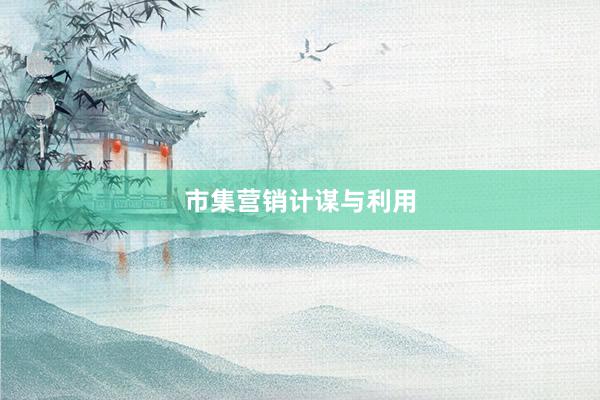 市集营销计谋与利用